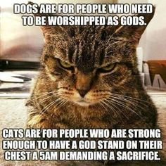 8fbeb711fdc7a6553821e37f5b0dd127.jpg