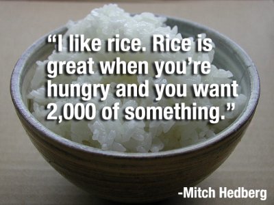like-rice.jpg