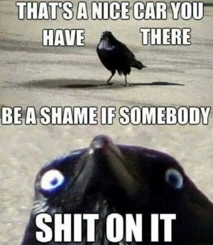 a2ee67059c24cc129f4e78ce822ec0c8.jpg
