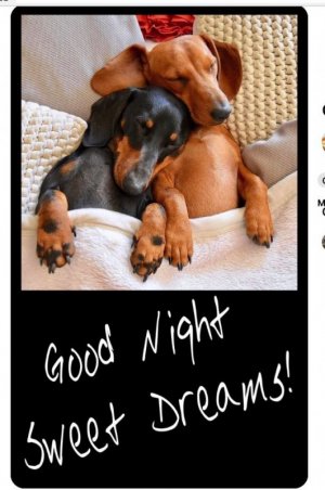 Good Night 4.jpg