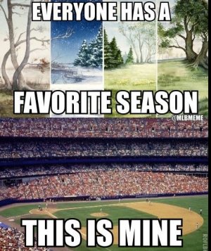 baseball6.jpg