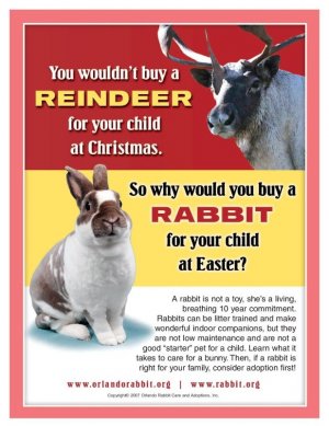 reindeer.jpg