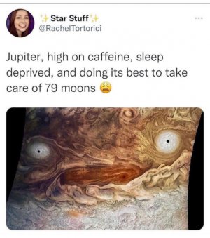 5.jpeg