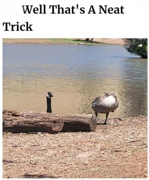 received_3548568045391723.jpeg
