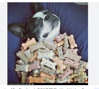 Screen Shot 2024-02-23 at 8.14.56 AM.jpeg