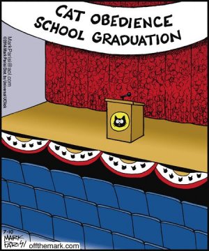 catgrad.jpg