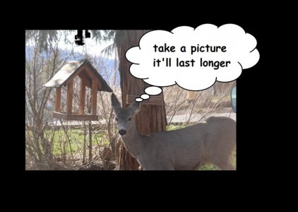 take a pic.jpg