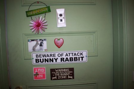bunny_zone.JPG