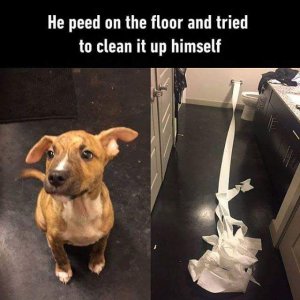 cleanedup.jpg