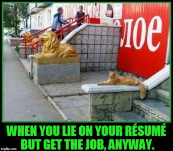 gotthejob.jpg