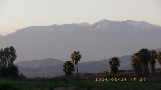 IMGP2415.JPG