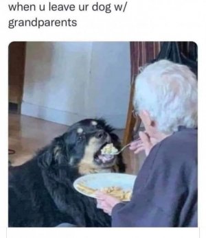 IMG_6638.jpeg
