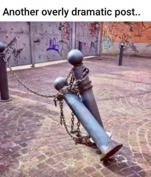 IMG_6677.jpeg