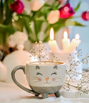 tumblr_d84206e81fb50ff80edad2fdb8e706a4_40138a66_640.jpg