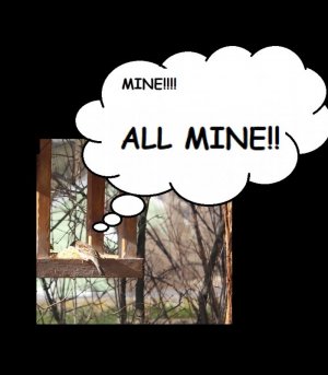 ALL MINE.jpg
