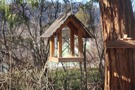 nobody at the feeder.jpg