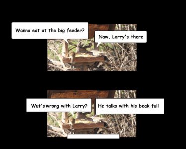 Larry.jpg