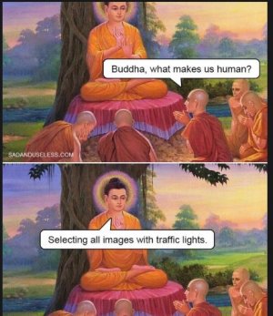 mmt.JPG