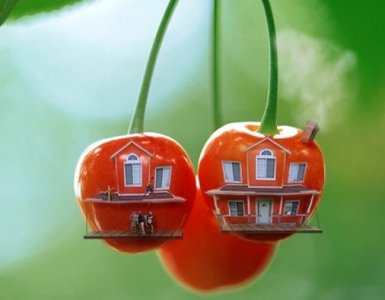 cherryhouses.jpg