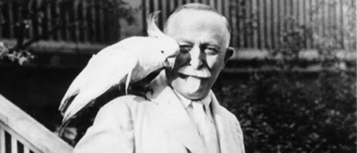 IMG_2169.jpeg IMG_2169.jpeg