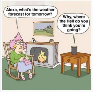 Alexa q.jpg