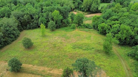 south meadow and creek.jpg