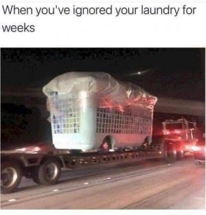 FB_IMG_1708838621165.jpg