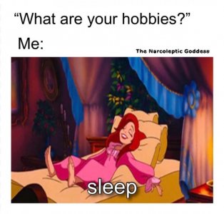 FB_IMG_1708986045155.jpg