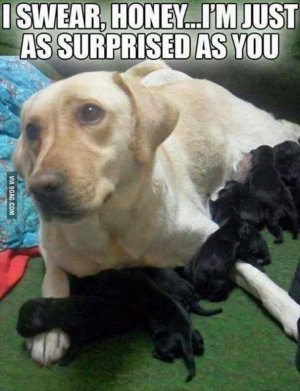 IMG_3841.jpeg