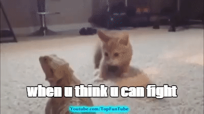 4gL0Ux.gif