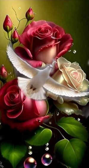 FB_IMG_1709112871161.jpg