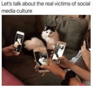 vnbkj,.JPG