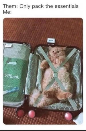 packessentials.jpg