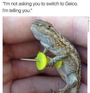 359a113c33035778d3b0b01e3b8d8da8.jpg