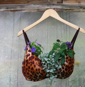 Bra Planter.jpg
