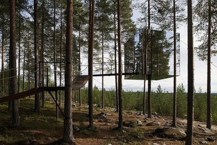 treehotel.jpg