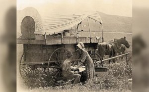 wagon2.jpg