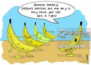 bananas40_low.jpg