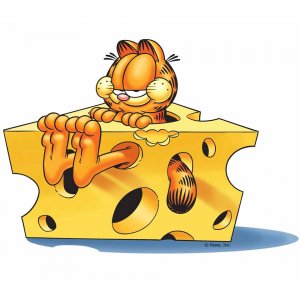 garfield.jpg