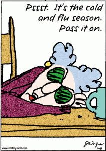 cold and flu.gif cold and flu.gif