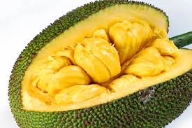 Jackfruit.png