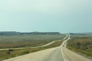 IMG_2130 (2).JPG