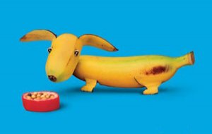Funny Food Pictures.jpg
