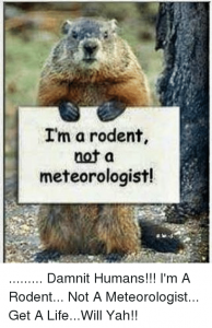 im-a-rodent-not-a-meteorologist-damnit-humans-im-13644887.png