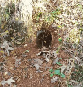 hole2.gif