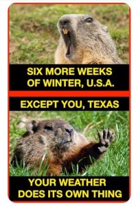 FB_IMG_1517816636403.jpg