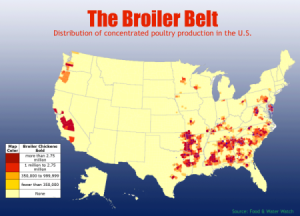 THE_BROILER_BELT.png