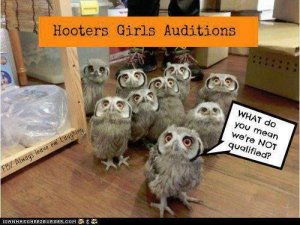 hooters.jpg