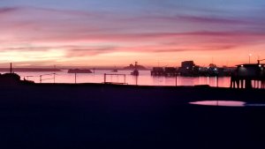 harbor 3.jpg harbor 3.jpg