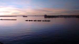 nights at the harbor 1.jpg